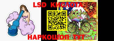шишки Берёзовский