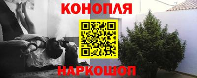шишки Берёзовский
