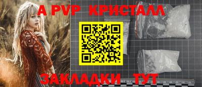 шишки Берёзовский