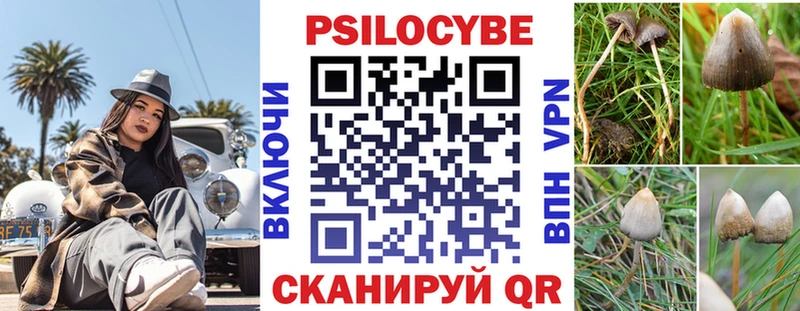 Галлюциногенные грибы MAGIC MUSHROOMS  купить закладку  Богданович 