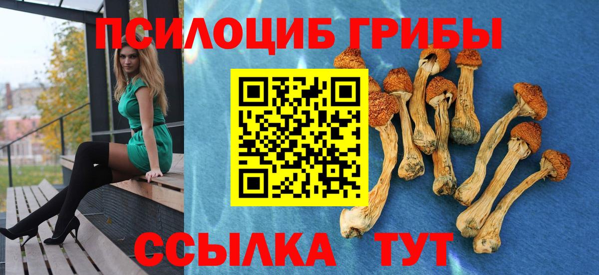 Псилоцибиновые грибы Psilocybine cubensis  Богданович 