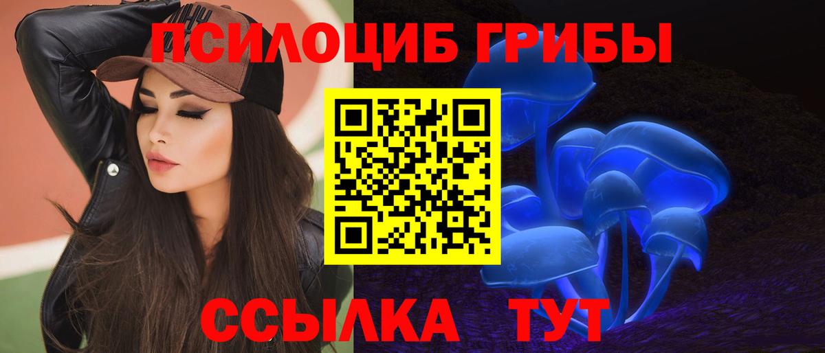 Богданович  Псилоцибиновые грибы мицелий  Вход с VPN 